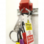 MLH4 Aluminium Lockout Hasp