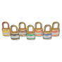 RPL10 Padlock Labels