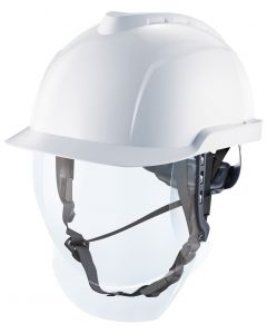 MSA V-GARD 950 with integrated class 1 visor